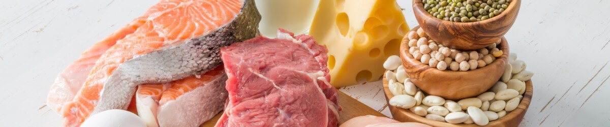 Assunzione di proteine e attività della tiroide